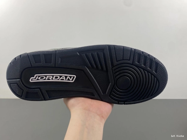 Air Black Jordan Cat CK9246-168 Retro 3 0708